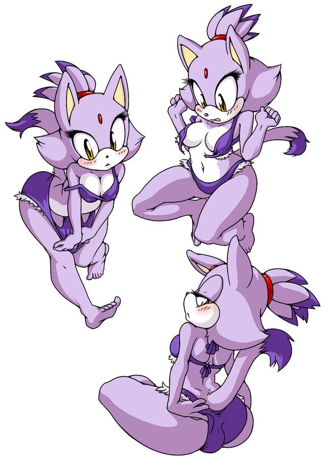 Erotic images of the Sonic series [Blaze the Cat] 58