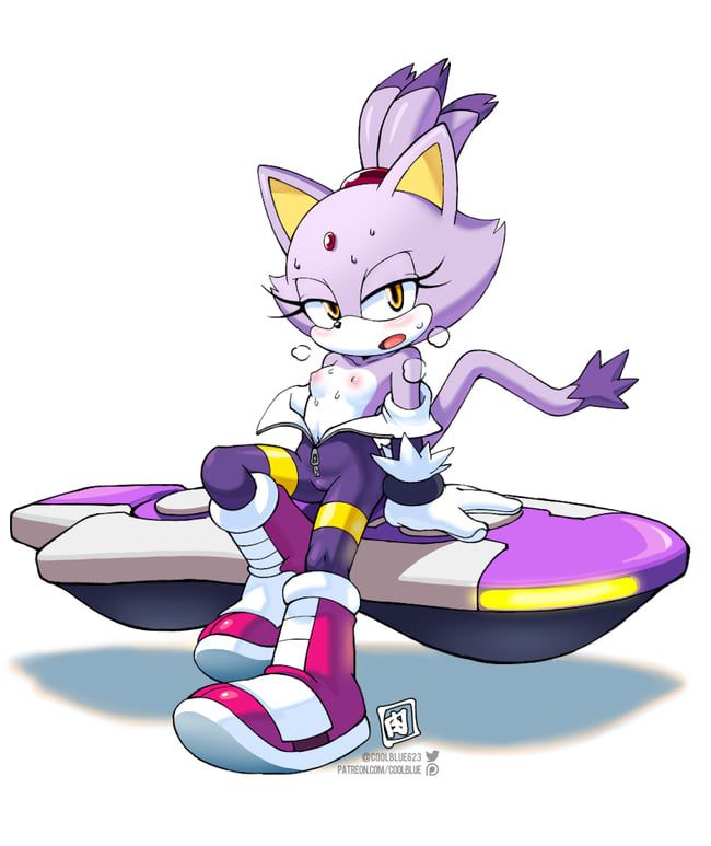 Erotic images of the Sonic series [Blaze the Cat] 59