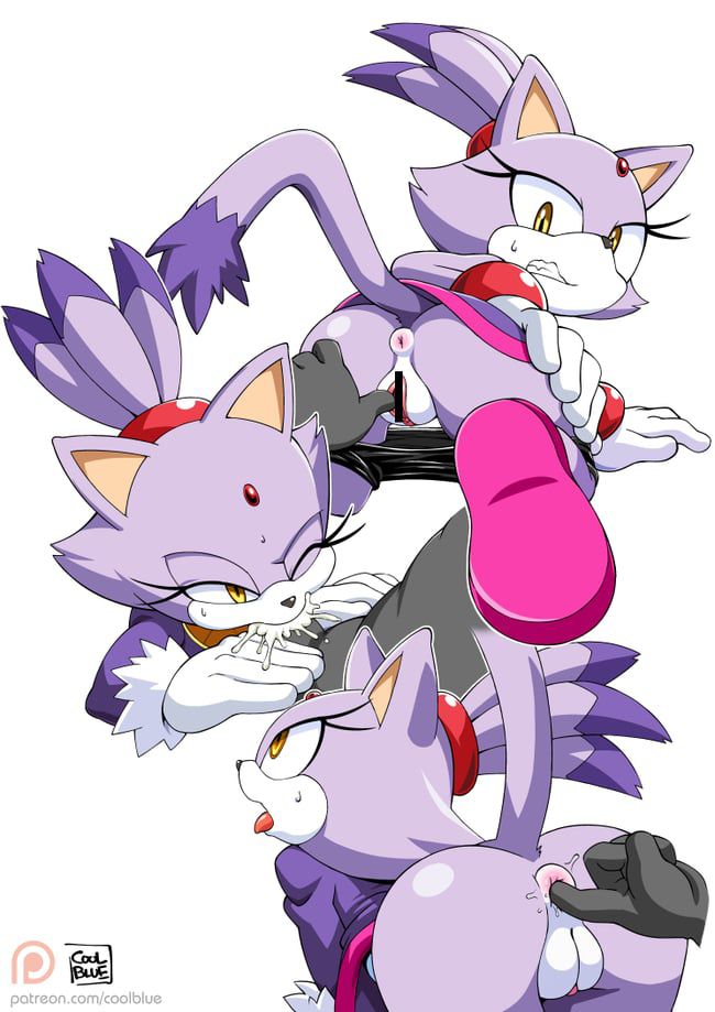 Erotic images of the Sonic series [Blaze the Cat] 60