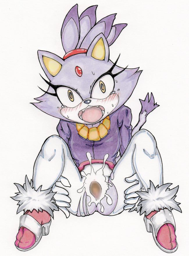 Erotic images of the Sonic series [Blaze the Cat] 64