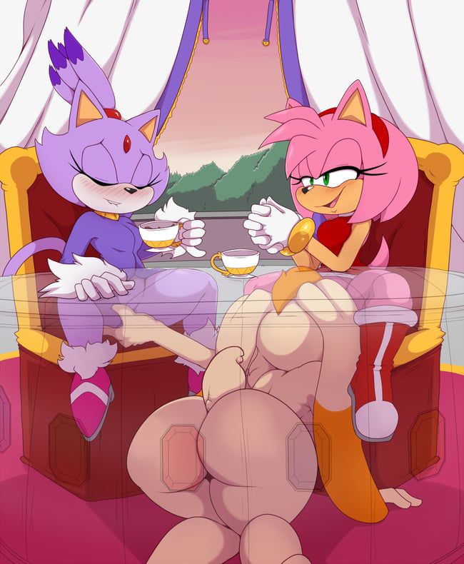 Erotic images of the Sonic series [Blaze the Cat] 65