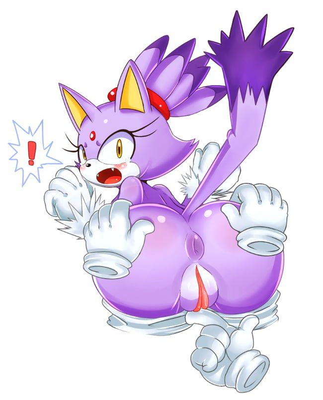 Erotic images of the Sonic series [Blaze the Cat] 66