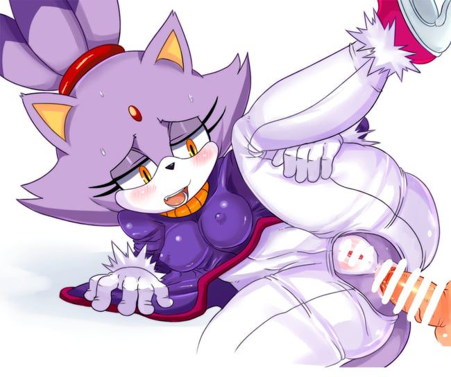 Erotic images of the Sonic series [Blaze the Cat] 67