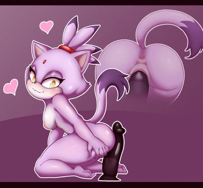 Erotic images of the Sonic series [Blaze the Cat] 9