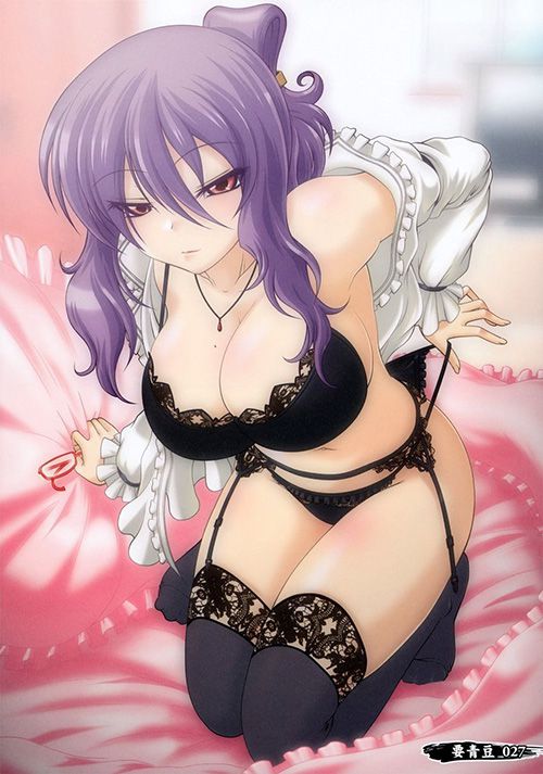 Erotic anime summary Erotic image collection of beautiful girls wearing sexy underwear [50 sheets] 30