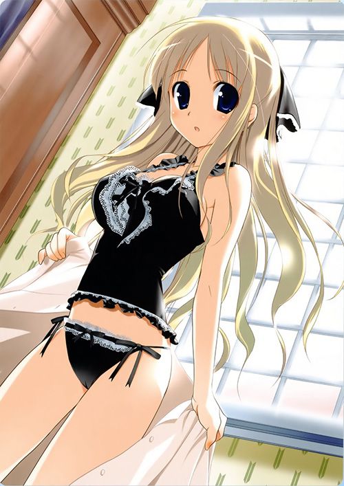 Erotic anime summary Erotic image collection of beautiful girls wearing sexy underwear [50 sheets] 41