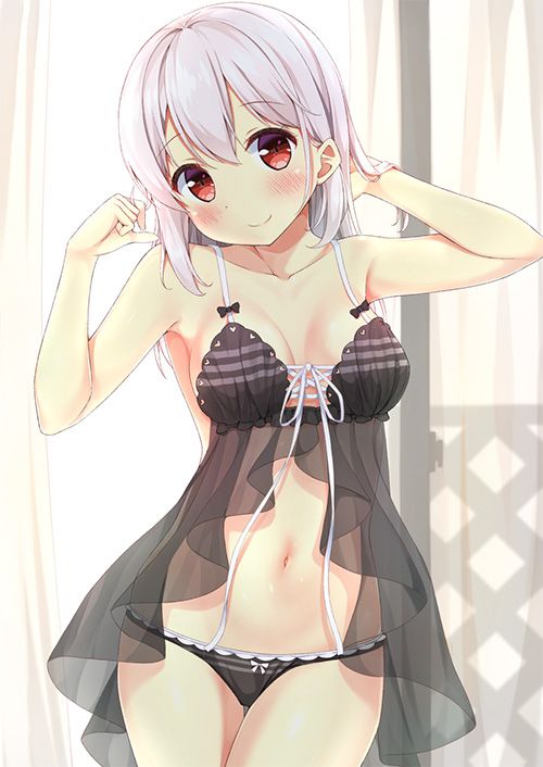 Erotic anime summary Erotic image collection of beautiful girls wearing sexy underwear [50 sheets] 47