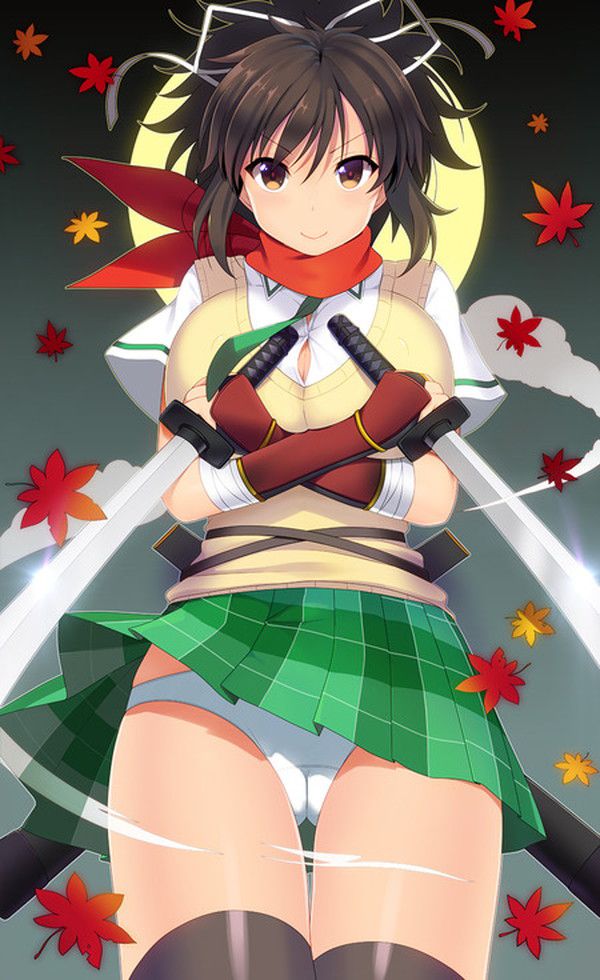 Students of Hanzo Gakuin in Senran Kagura... A simple image feature! 25