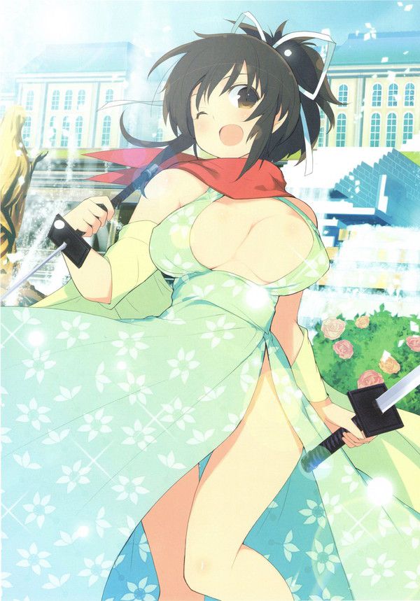 Students of Hanzo Gakuin in Senran Kagura... A simple image feature! 52