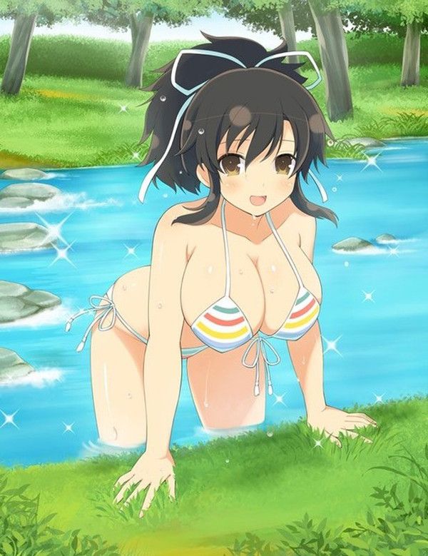 Students of Hanzo Gakuin in Senran Kagura... A simple image feature! 85