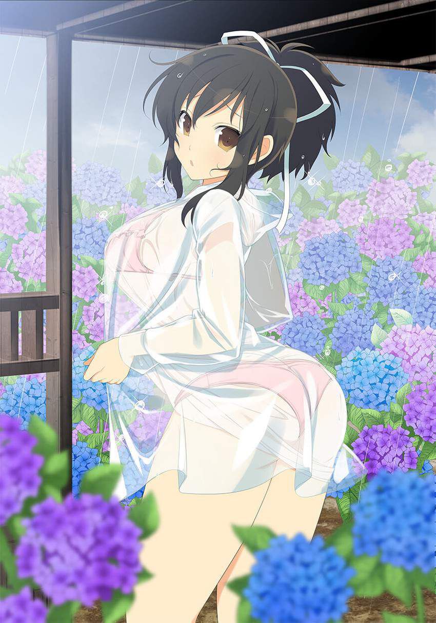 Senran Kagura Asuka's intense erotic and saddled secondary erotic image summary 5