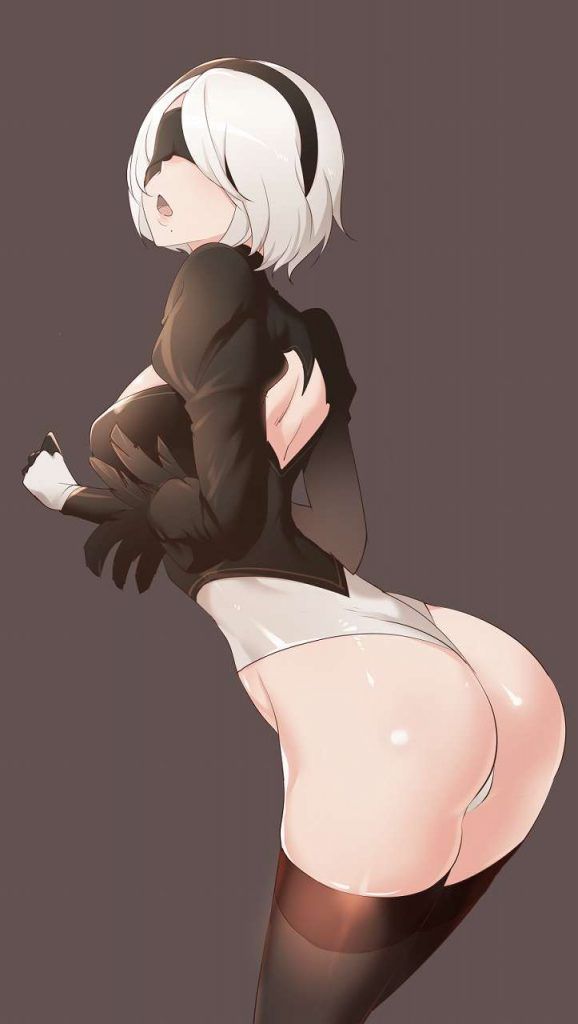 【NieR Automata】2B Missing Sex Photo Images 18