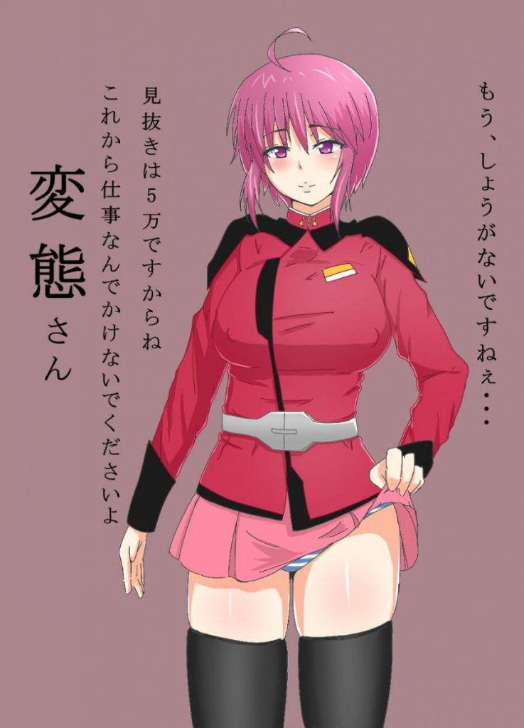 Mobile Suit Gundam SEED has been collecting images because it is not erotic 11