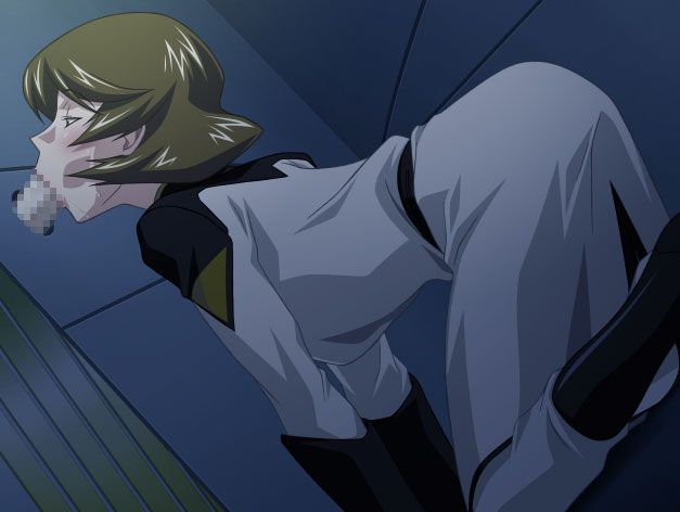 Mobile Suit Gundam SEED has been collecting images because it is not erotic 18