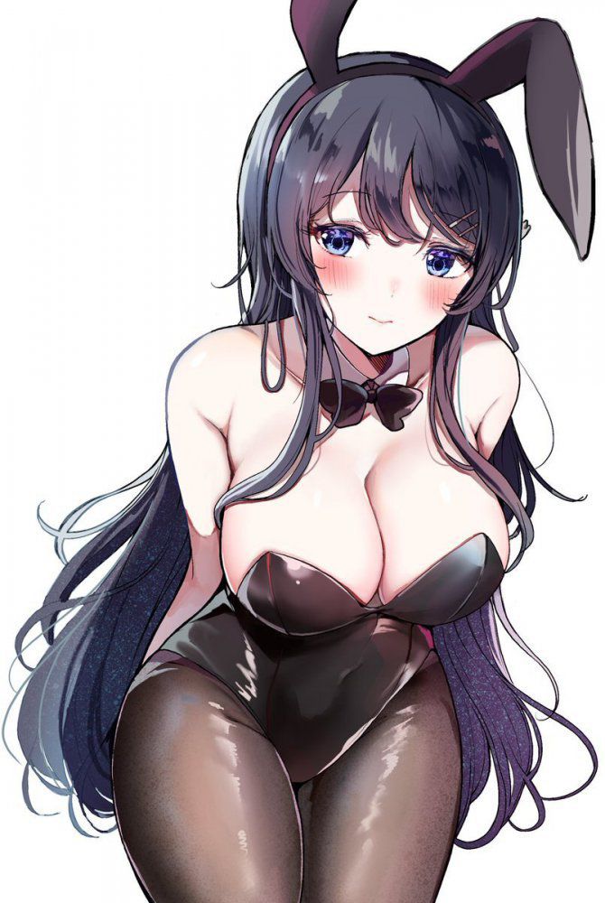 【Secondary】Bunny Girl 【Image】 Part 9 25