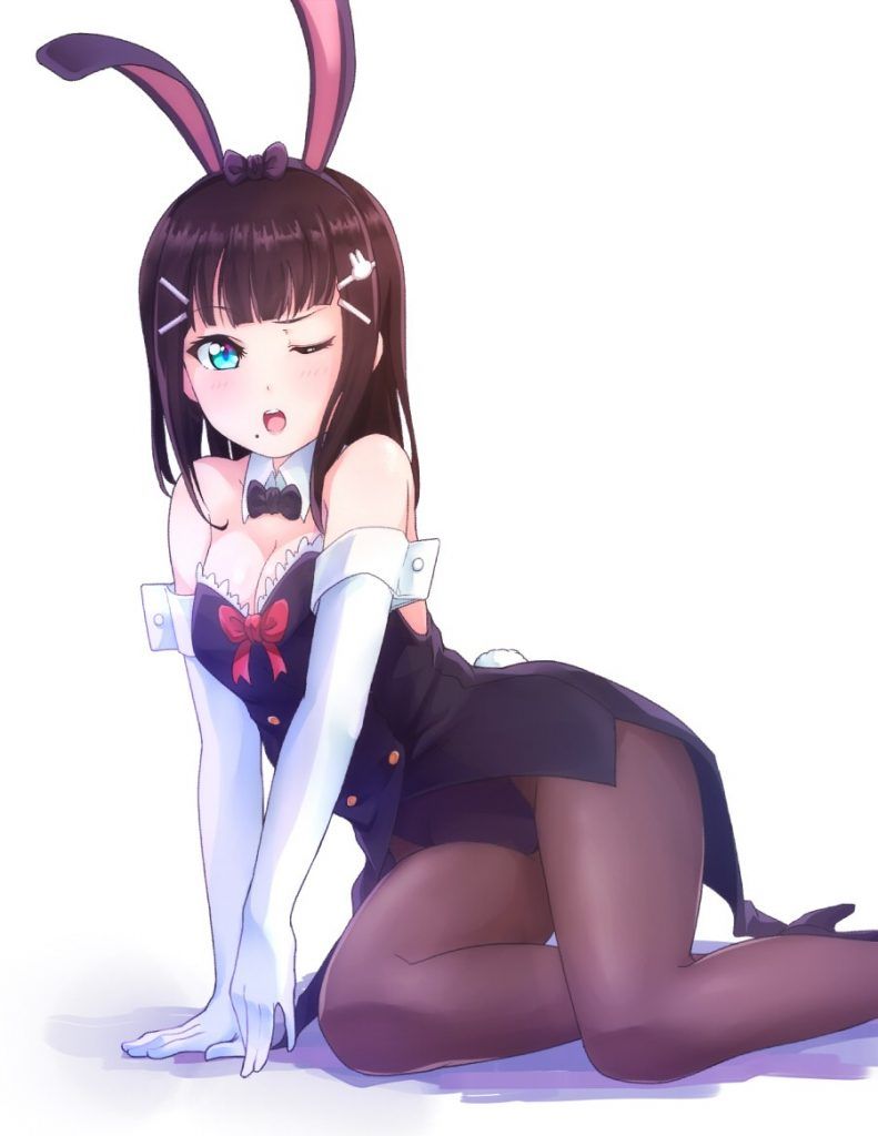 I tried to find high-quality erotic images of Bunny Girl! 12