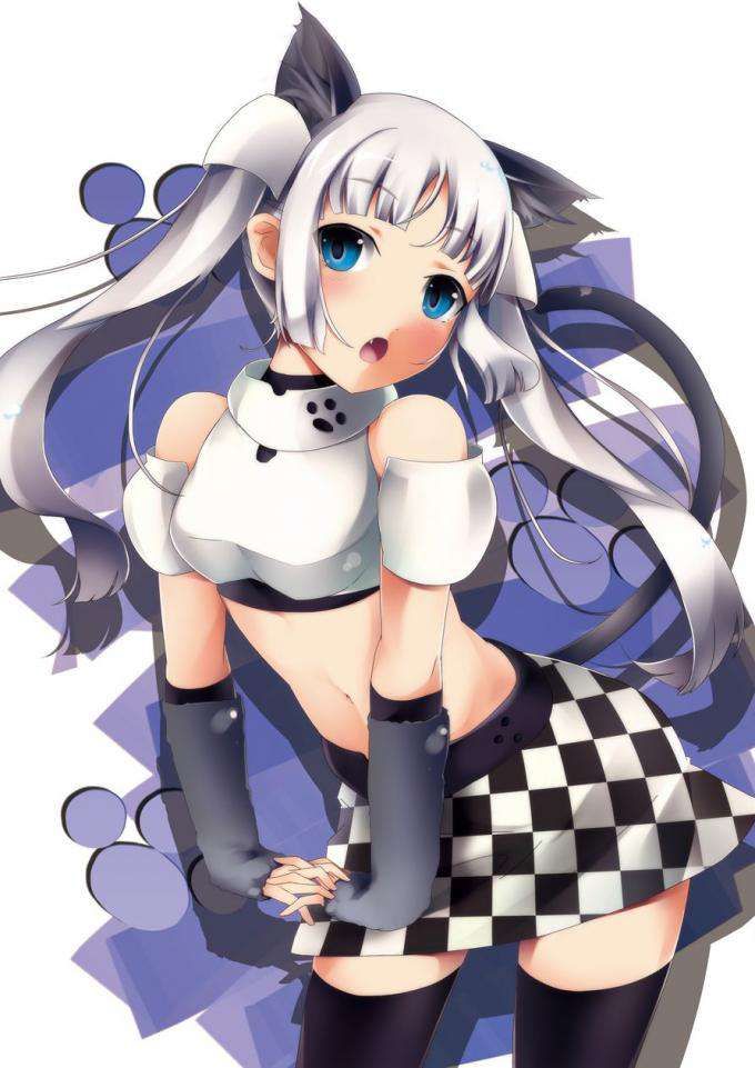 Erotic image summary that miss monochrome comes out! 20