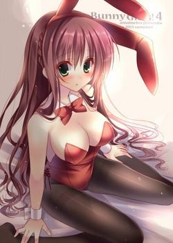 It is an erotic image of a bunny girl! 14