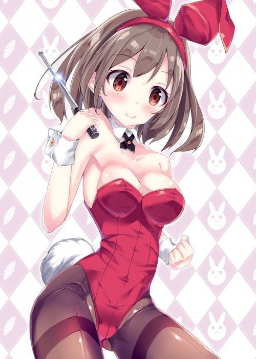 It is an erotic image of a bunny girl! 15