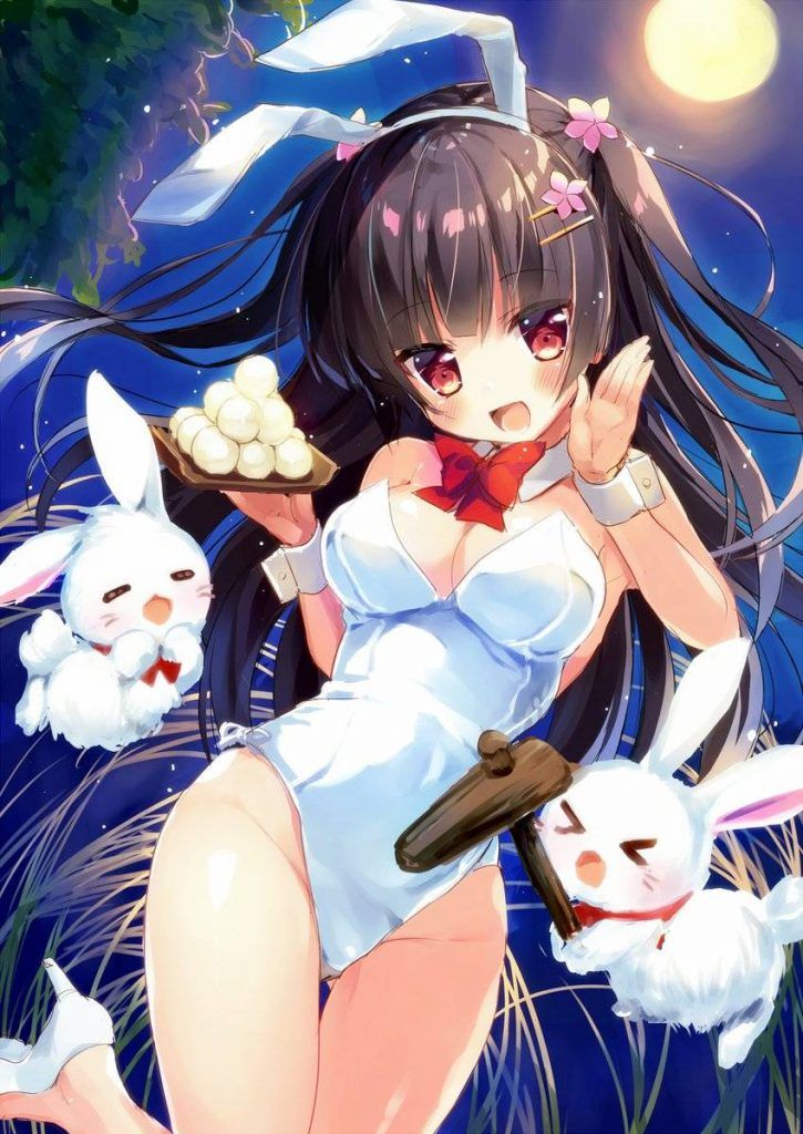 It is an erotic image of a bunny girl! 16