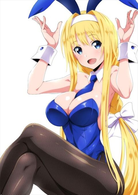 【Secondary Erotic】Here is the erotic image of Alice appearing in Sword Art Online 6