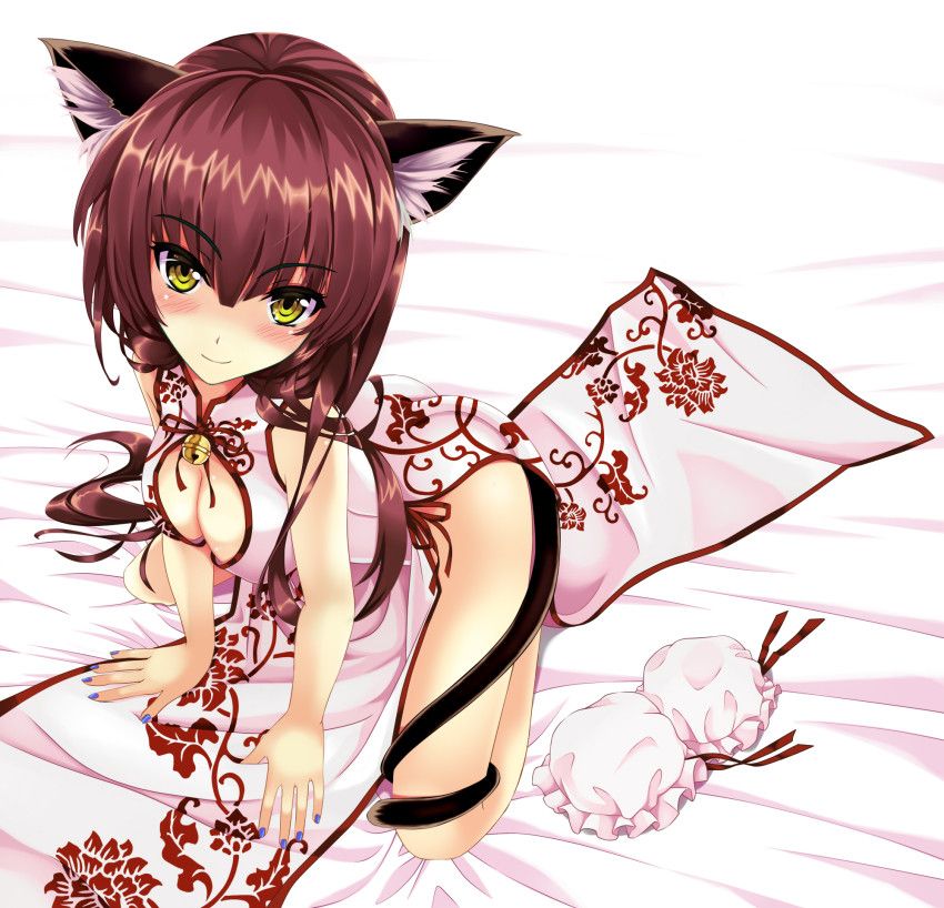 Erotic image of a girl wearing a china dress with a slit 21
