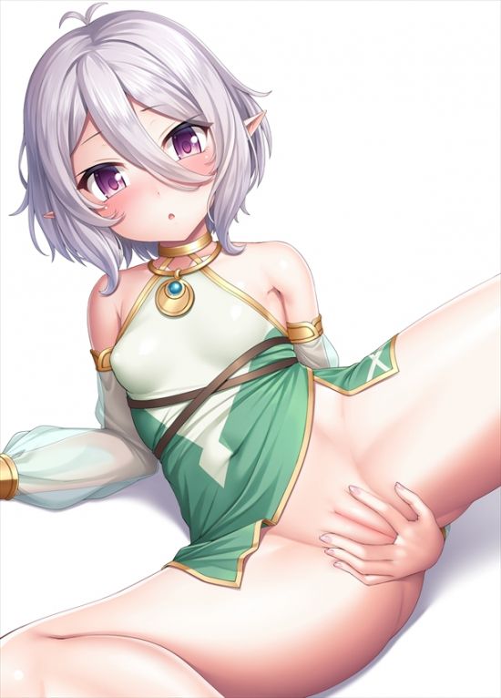 [Secondary erotic] Princess Connect Kokkoro erotic image summary [30 sheets] 17
