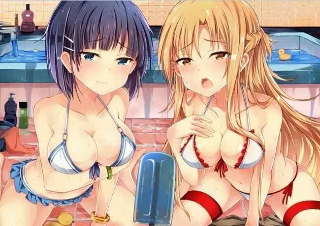 【Secondary Erotic】 Sword Art Online (SAO) Erotic image summary of various characters [30 photos] 10