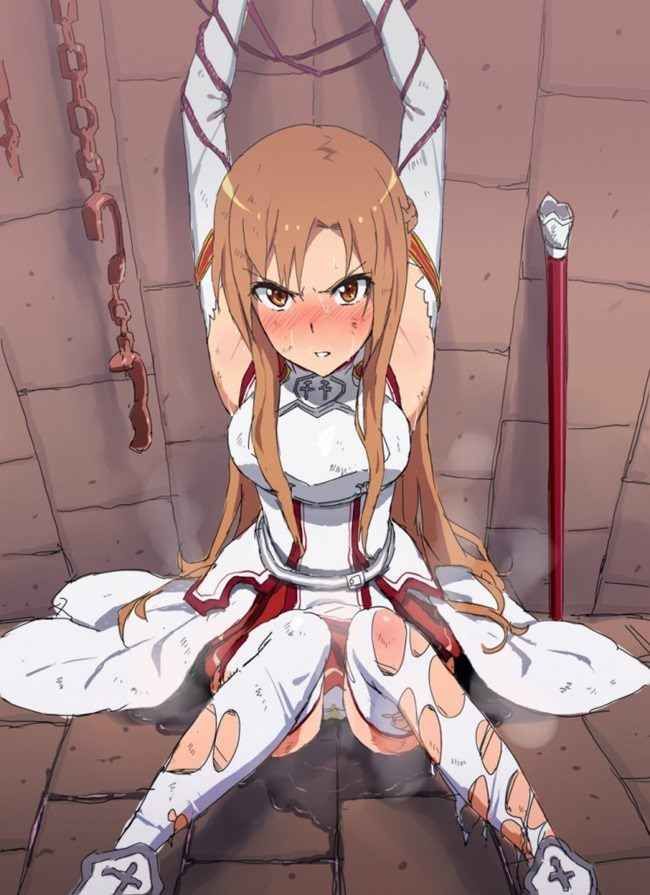 【Secondary Erotic】 Sword Art Online (SAO) Erotic image summary of various characters [30 photos] 21