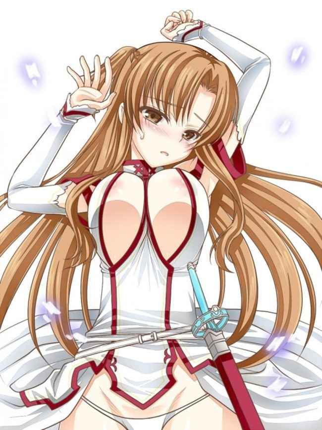 【Secondary Erotic】 Sword Art Online (SAO) Erotic image summary of various characters [30 photos] 22