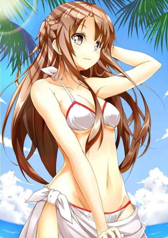 【Secondary Erotic】 Sword Art Online (SAO) Erotic image summary of various characters [30 photos] 26