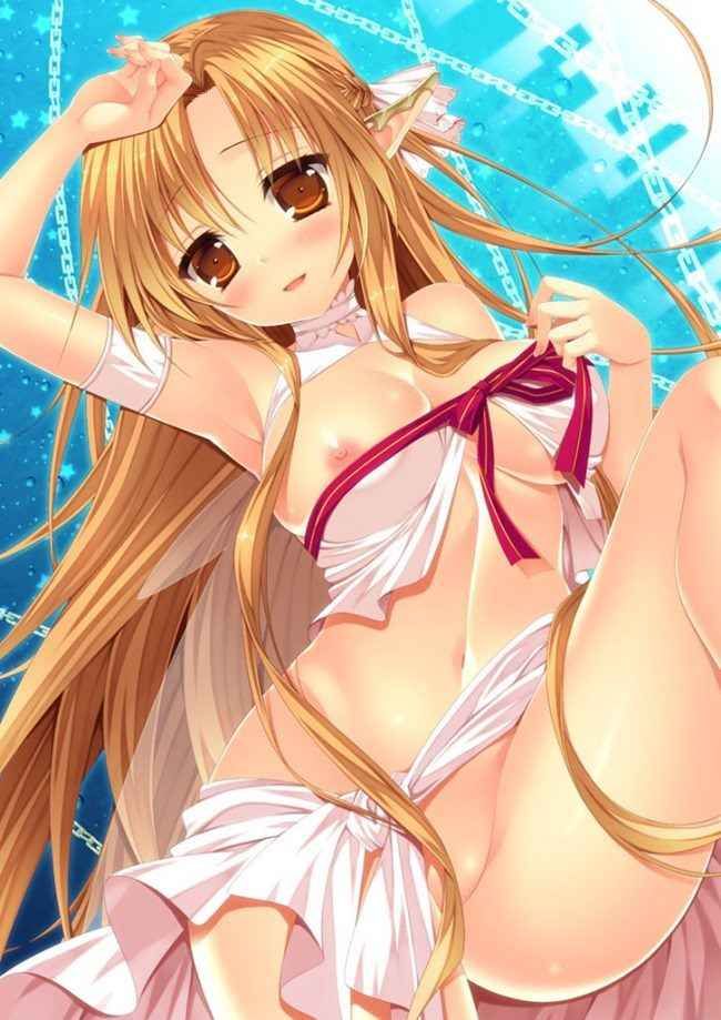 【Secondary Erotic】 Sword Art Online (SAO) Erotic image summary of various characters [30 photos] 30