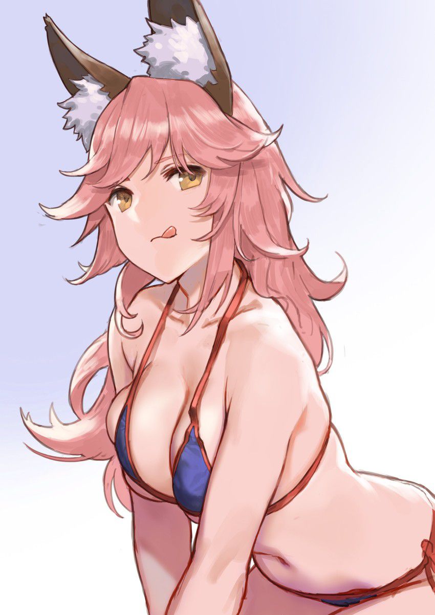 Fate Grand Order Moe cute secondary erotic image summary in front of Tamamo 10