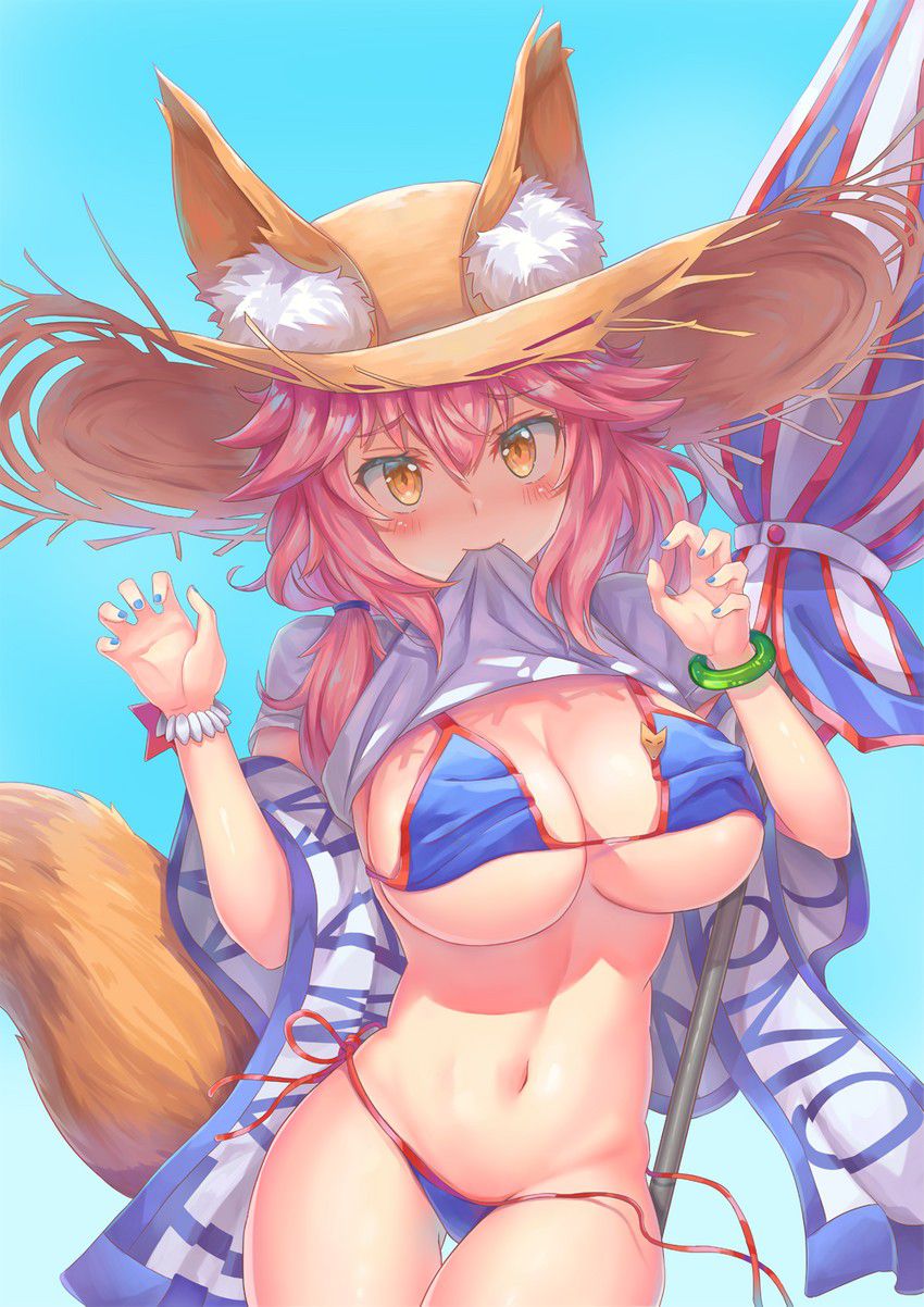 Fate Grand Order Moe cute secondary erotic image summary in front of Tamamo 2