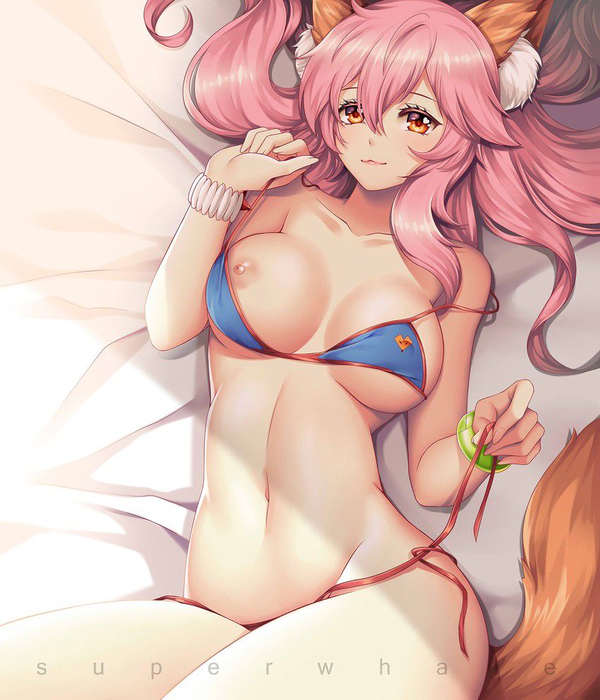 Fate Grand Order Moe cute secondary erotic image summary in front of Tamamo 7
