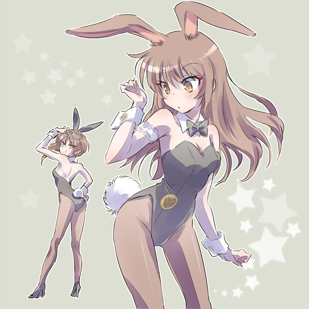 Bunny Girl's Secondary Erotic Image Summary 4