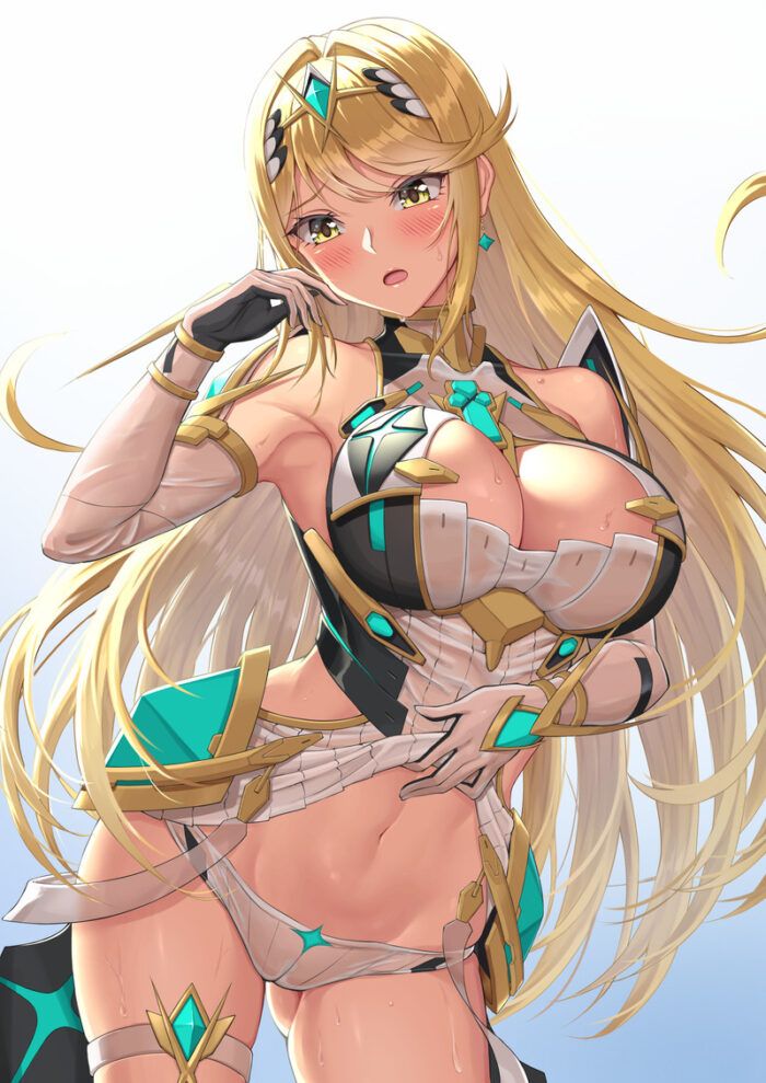 [Xenoblade 2] Summary of Hikari's erotic images [100 photos] 13