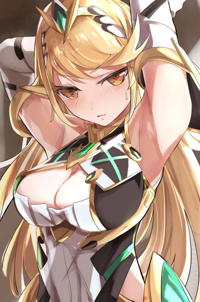 [Xenoblade 2] Summary of Hikari's erotic images [100 photos] 40