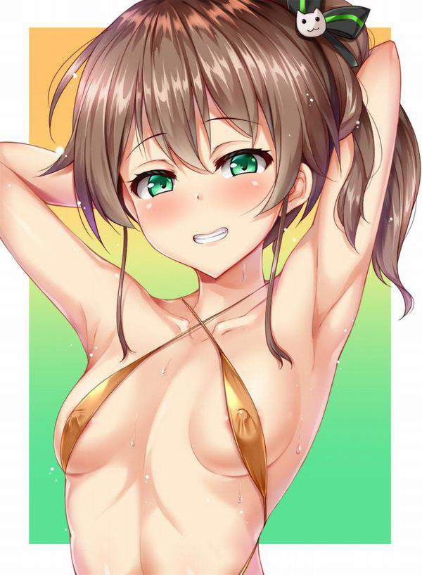 [Secondary erotic] Vtuber Summer Color Festival HoloLive's Virtual Leiber Erotic Image Summary [30 photos] 16