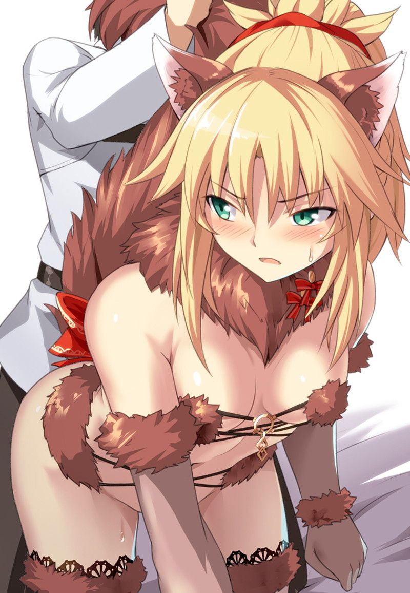 [80 sheets] mode red erotic image [Fate / Grand Order] 21