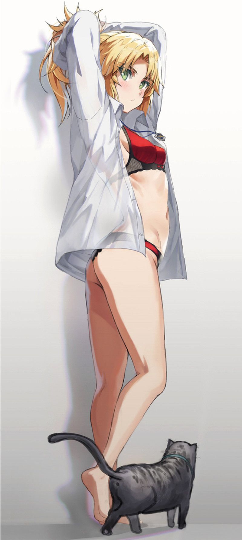 [80 sheets] mode red erotic image [Fate / Grand Order] 62