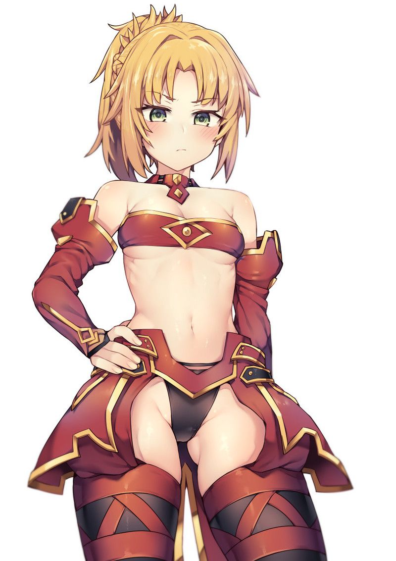[80 sheets] mode red erotic image [Fate / Grand Order] 67