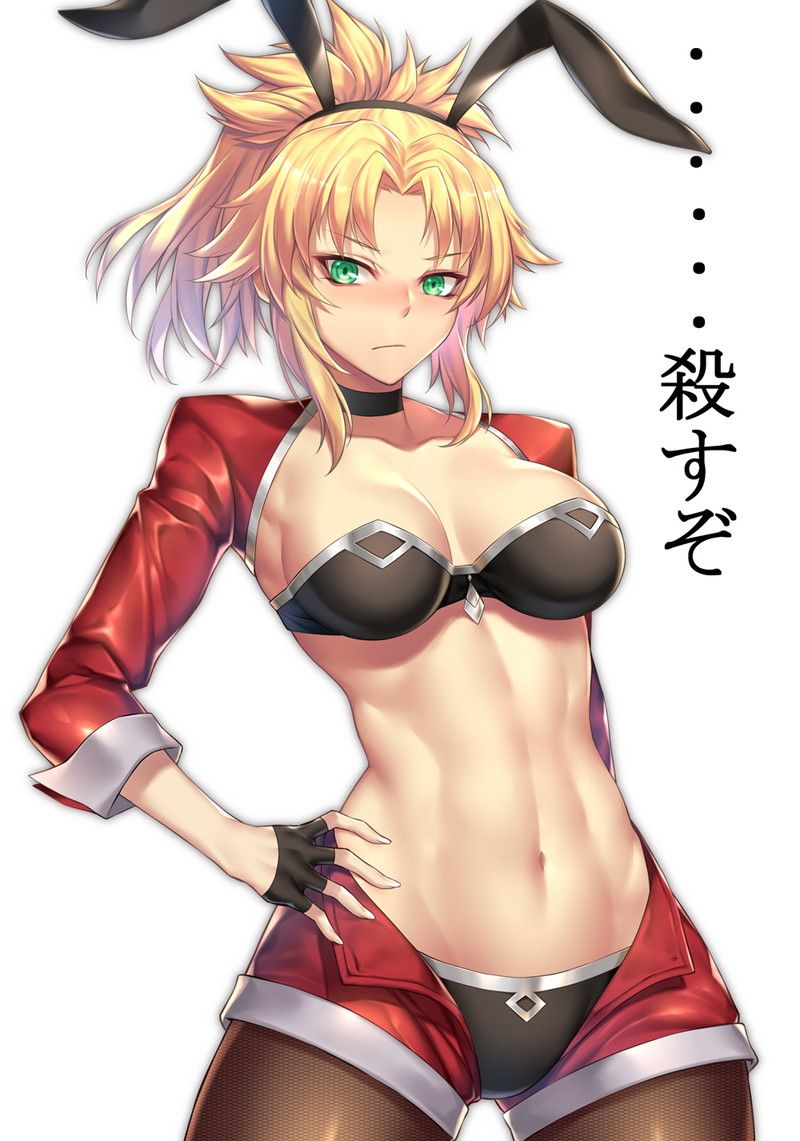 [80 sheets] mode red erotic image [Fate / Grand Order] 7