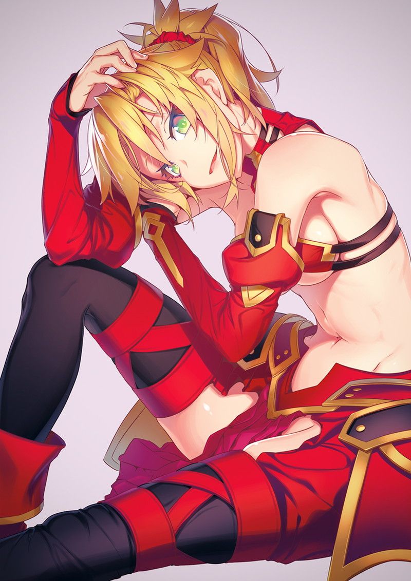 [80 sheets] mode red erotic image [Fate / Grand Order] 8