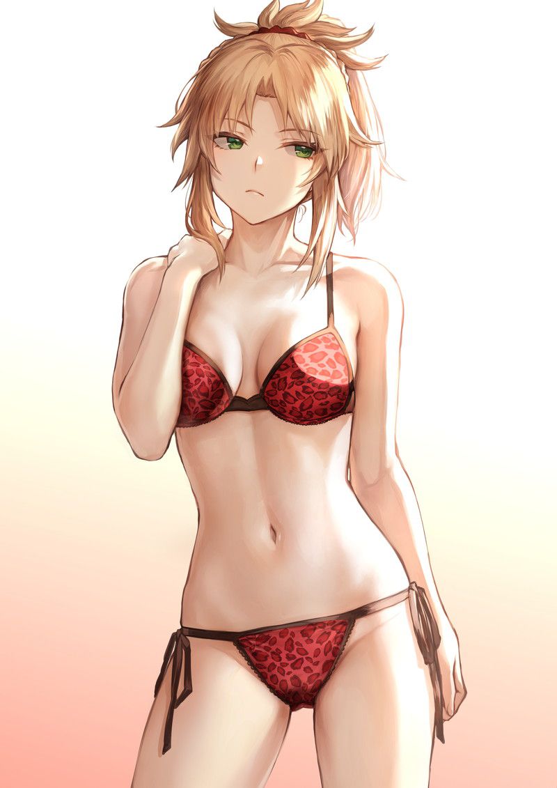 [80 sheets] mode red erotic image [Fate / Grand Order] 80
