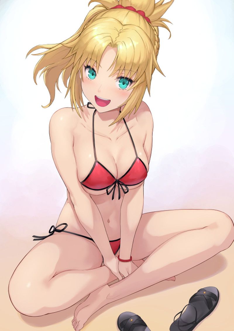 [80 sheets] mode red erotic image [Fate / Grand Order] 9