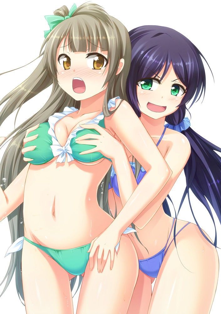 [Love Live! ] Minami Kotori's Moe cute secondary erotic image summary 16