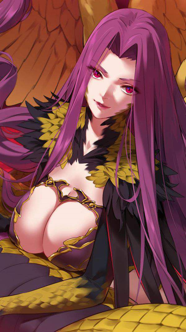 [Erotic anime summary] Erotic image of gorgon of FGO appearance character [secondary erotic] 22