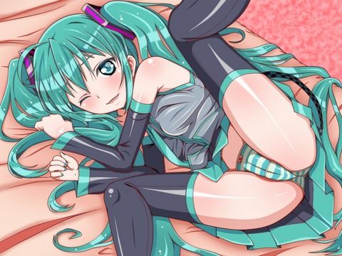 【Secondary Erotic】Vocaloid (Miku-san's Many) Secondary Doskebe Images [35 Photos] 15