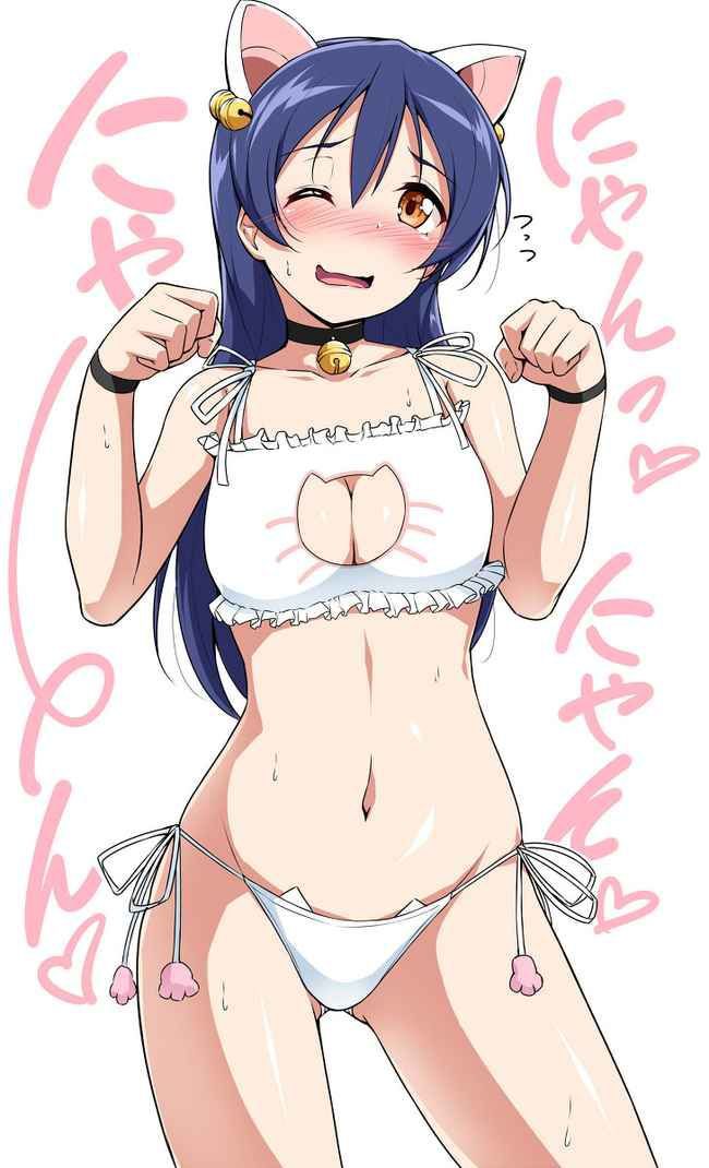 [Secondary Erotic] Love Live! μ's member's erotic image [50 sheets] 11